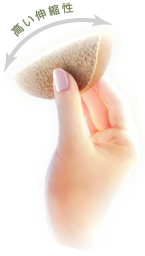 スタッコフレックスイメージ